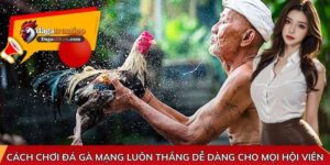 Cách chơi đá gà mạng luôn thắng