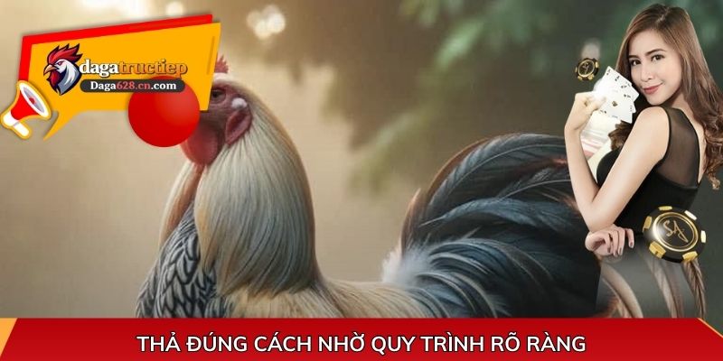 Thả đúng cách nhờ quy trình rõ ràng