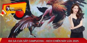 Đá gà cựa sắt Campuchia