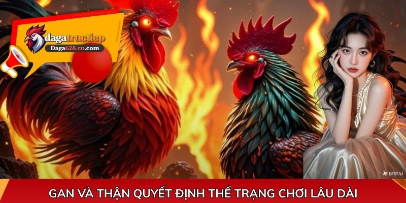 Gan và thận quyết định thể trạng chơi lâu dài