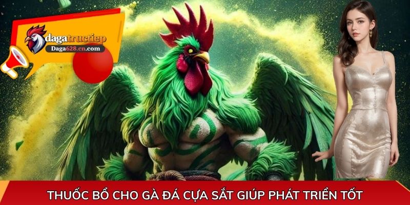 Thuốc bổ cho gà đá cựa sắt giúp phát triển tốt
