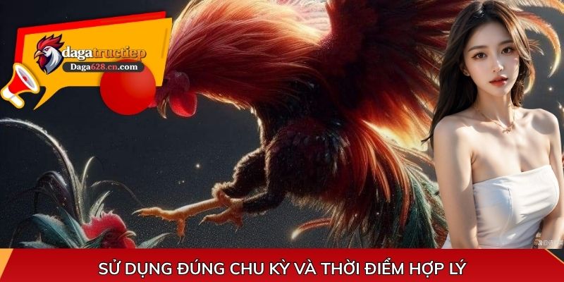 Sử dụng đúng chu kỳ và thời điểm hợp lý