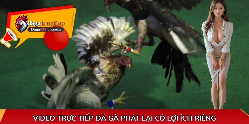 Video trực tiếp đá gà phát lại có lợi ích riêng